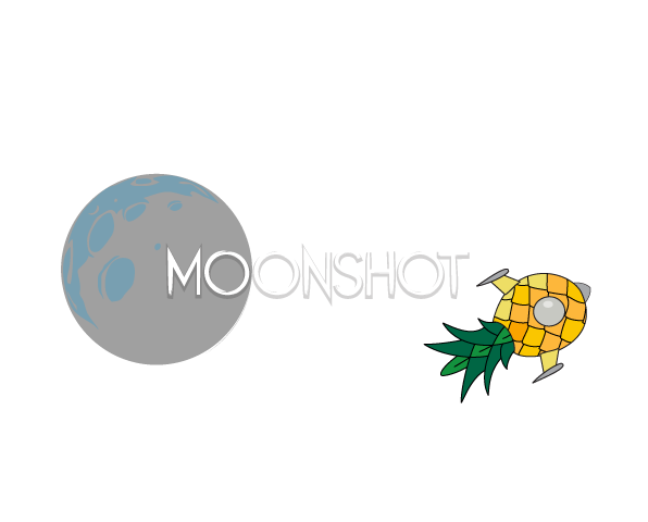 Moonshot Play Space